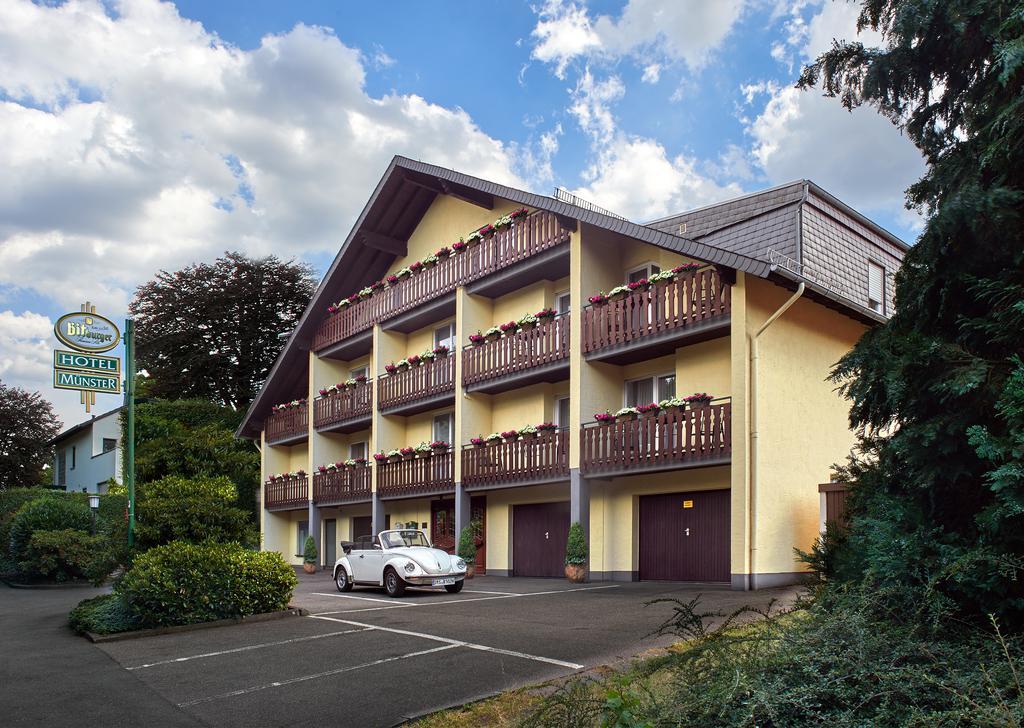 Hotel Muenster Эммельсхаузен Экстерьер фото